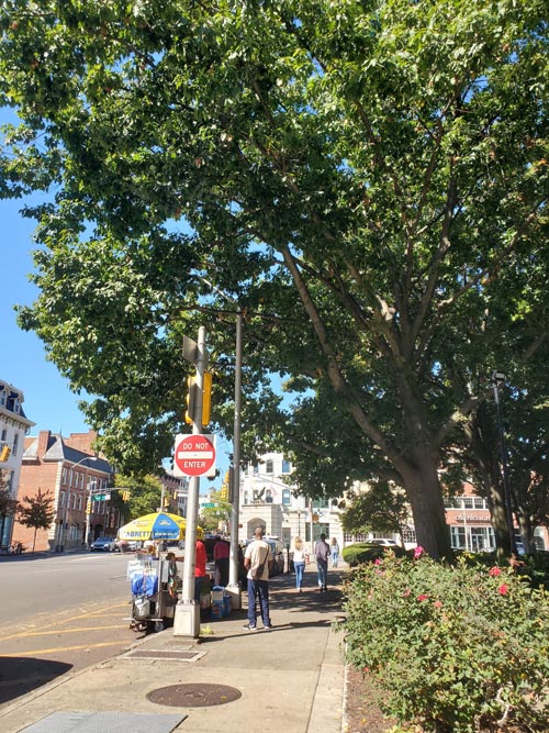 West Park Place, Morristown Green, Morristown, New Jersey, October 6, 2024