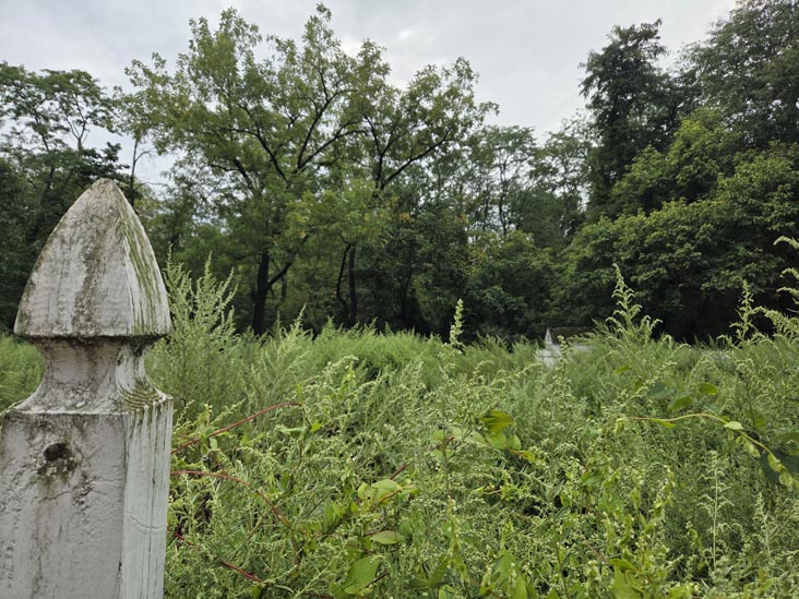 Yard Behind Old Dutch Parsonage, Somerville, New Jersey, September 7, 2025