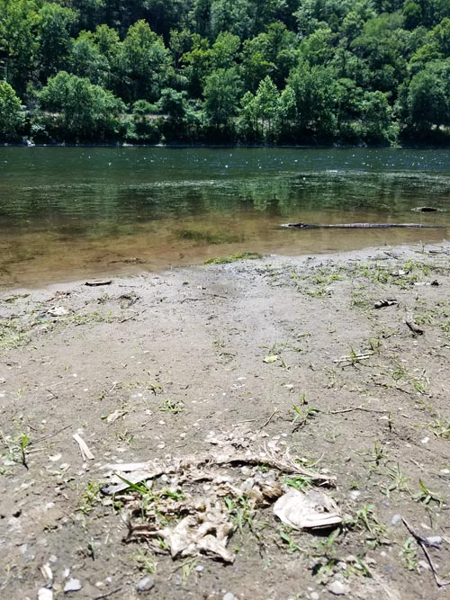 Delaware River, Delaware Water Gap National Recreation Area, Warren County, New Jersey, June 29, 2018