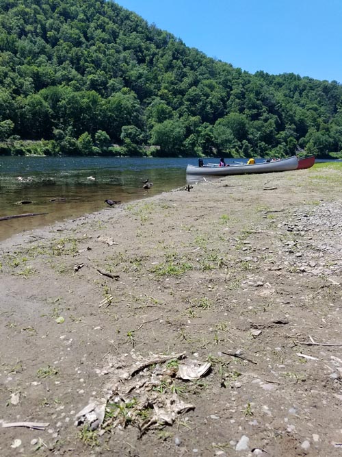 Delaware River, Delaware Water Gap National Recreation Area, Warren County, New Jersey, June 29, 2018