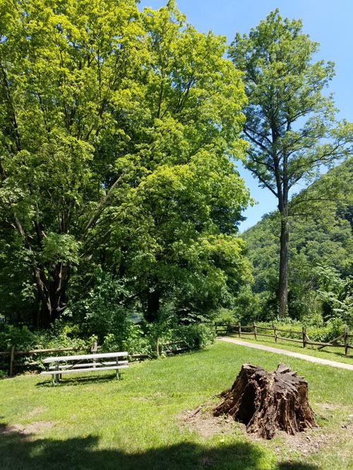 Delaware Water Gap National Recreation Area, Warren County, New Jersey, June 29, 2018