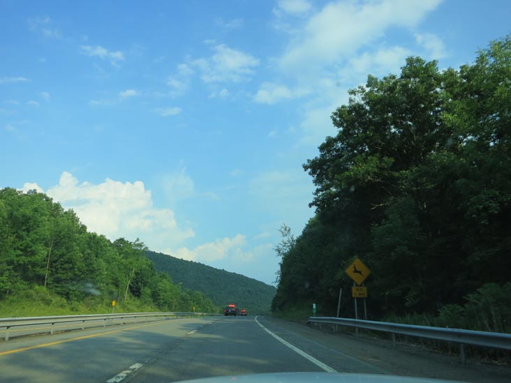 New York State Route 17 Between Hancock and Fishs Eddy, New York, July 4, 2012