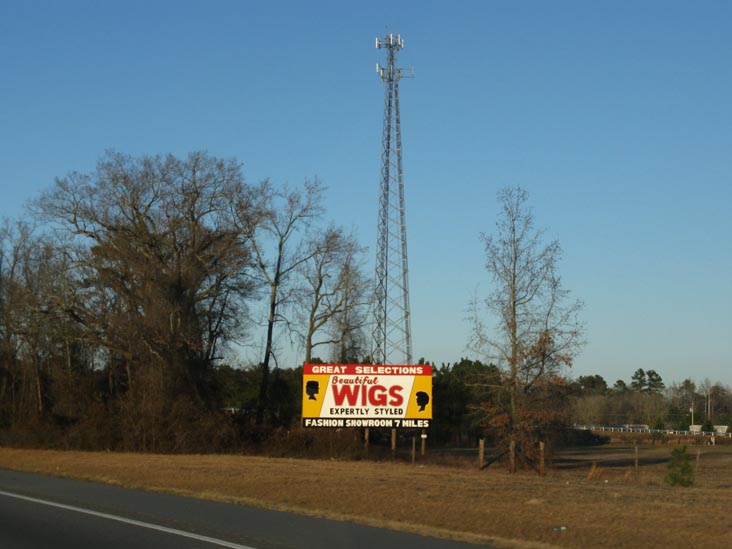 Fayetteville Wig Outlet Billboard, Interstate 95, Cumberland County, North Carolina, January 2, 2010