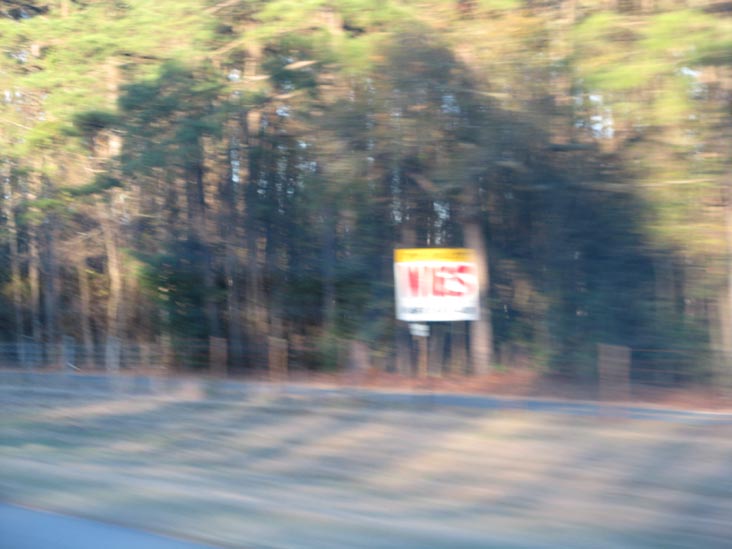 Fayetteville Wig Outlet Advertisement, Interstate 95 Near Exit 40, Cumberland County, North Carolina, January 2, 2010
