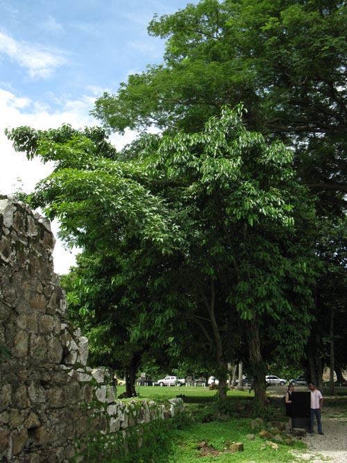 Iglesia y Convento de la Compa&ntilde;&iacute;a de Jes&uacute;s, Old Panama/Panam&aacute; Viejo, Panama City, Panama, July 3, 2010