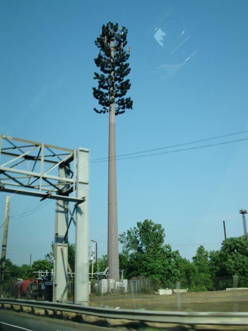TowerCo PA2036 Stealth Tree Cell Phone Tower, Falls Curtis Equipment, 65 My Lane, Morrisville, Pennsylvania, June 20, 2010