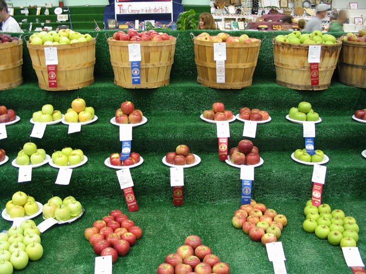 Apples, Agriculture Hall, Bloomsburg Fair, Bloomsburg, Pennsylvania, September 23, 2006