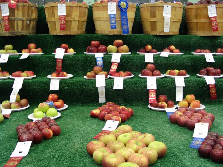 Apples, Agriculture Hall, Bloomsburg Fair, Bloomsburg, Pennsylvania, September 23, 2006