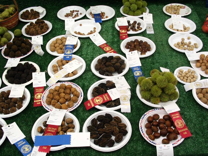 Nuts, Agriculture Hall, Bloomsburg Fair, Bloomsburg, Pennsylvania, September 23, 2006