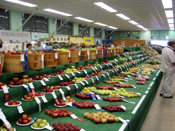 Apples, Agriculture Hall, Bloomsburg Fair, Bloomsburg, Pennsylvania, September 23, 2006