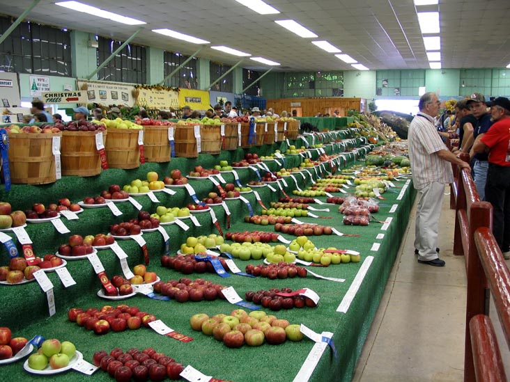 Apples, Agriculture Hall, Bloomsburg Fair, Bloomsburg, Pennsylvania, September 23, 2006