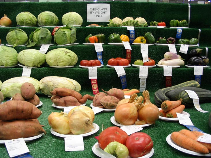 Weight Class, Agriculture Hall, Bloomsburg Fair, Bloomsburg, Pennsylvania, September 23, 2006