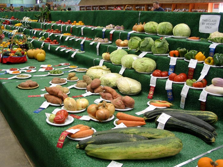 Weight Class, Agriculture Hall, Bloomsburg Fair, Bloomsburg, Pennsylvania, September 23, 2006