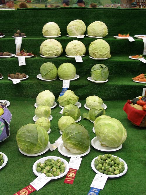 Agriculture Hall, Bloomsburg Fair, Bloomsburg, Pennsylvania, September 23, 2006