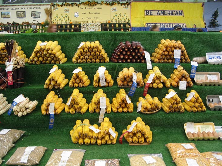 Corn, Agriculture Hall, Bloomsburg Fair, Bloomsburg, Pennsylvania, September 23, 2006