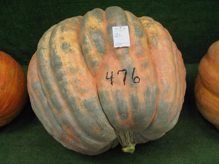 Agriculture Hall, Bloomsburg Fair, Bloomsburg, Pennsylvania, September 23, 2006