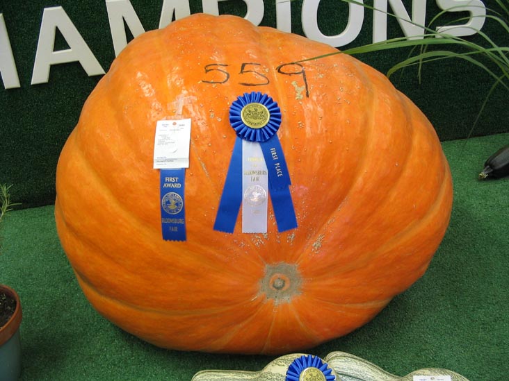 First Prize Pumpkin, Agriculture Hall, Bloomsburg Fair, Bloomsburg, Pennsylvania, September 23, 2006