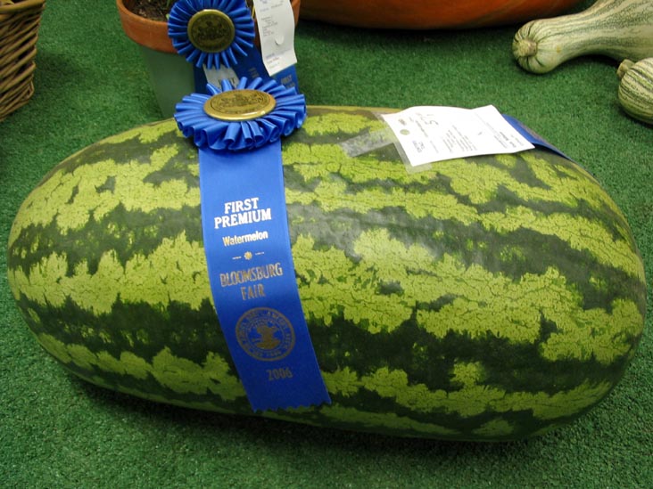 First Premium Watermelon, Agriculture Hall, Bloomsburg Fair, Bloomsburg, Pennsylvania, September 23, 2006