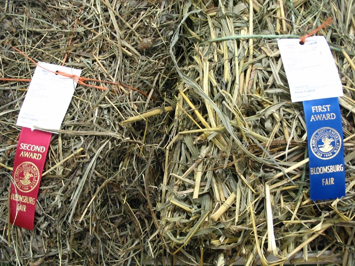 Hay, Agriculture Hall, Bloomsburg Fair, Bloomsburg, Pennsylvania, September 23, 2006