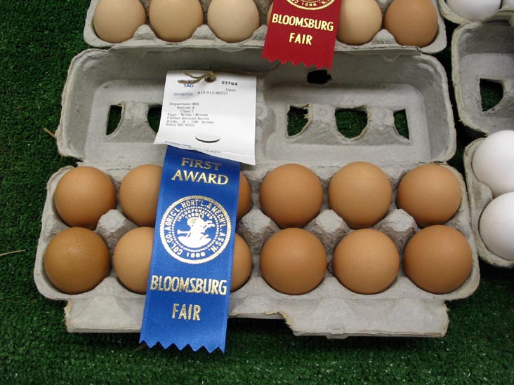 Eggs, Agriculture Hall, Bloomsburg Fair, Bloomsburg, Pennsylvania, September 23, 2006