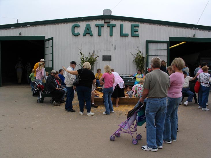 Livestock Exhibits, Bloomsburg Fair, Bloomsburg, Pennsylvania