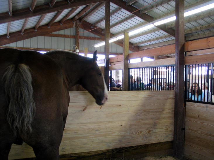 Horse Barn, Bloomsburg Fair, Bloomsburg, Pennsylvania, September 23, 2006