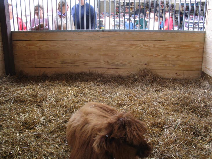 Horse Barn, Bloomsburg Fair, Bloomsburg, Pennsylvania, September 23, 2006