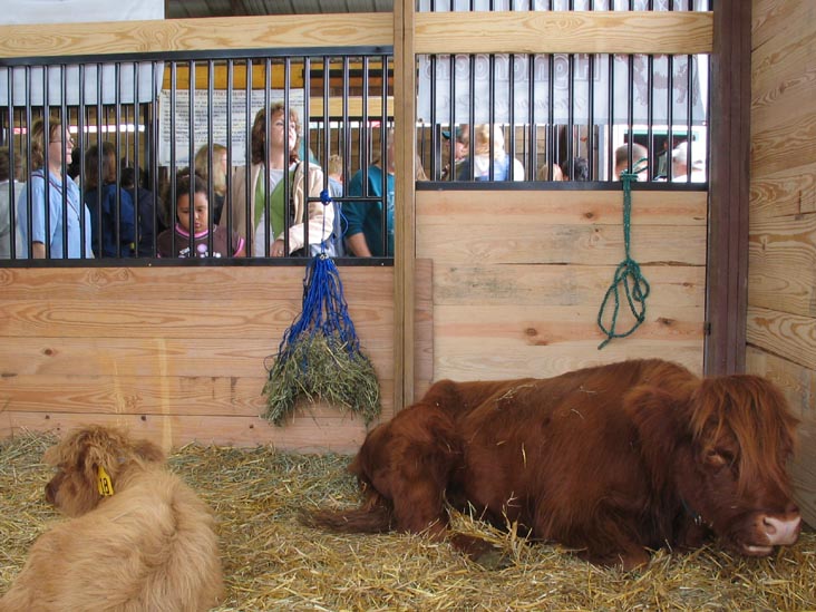 Horse Barn, Bloomsburg Fair, Bloomsburg, Pennsylvania, September 23, 2006