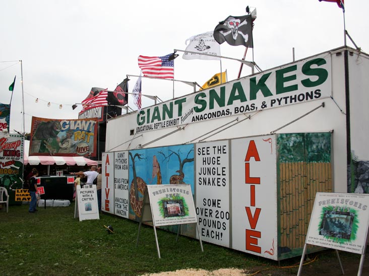 The Living Treasures: Giant Rat, Giant Alligator, Giant Snakes, Smallest Horse, Bloomsburg Fair, Bloomsburg, Pennsylvania, September 23, 2006