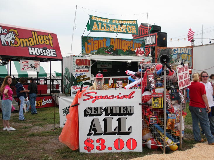 The Living Treasures: Giant Rat, Giant Alligator, Giant Snakes, Smallest Horse, Bloomsburg Fair, Bloomsburg, Pennsylvania, September 23, 2006