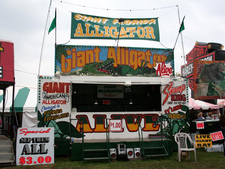The Living Treasures: Giant Rat, Giant Alligator, Giant Snakes, Smallest Horse, Bloomsburg Fair, Bloomsburg, Pennsylvania, September 23, 2006