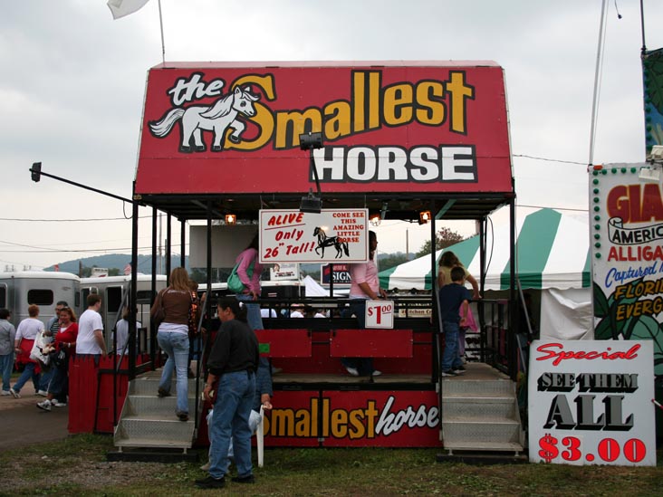The Living Treasures: Giant Rat, Giant Alligator, Giant Snakes, Smallest Horse, Bloomsburg Fair, Bloomsburg, Pennsylvania, September 23, 2006