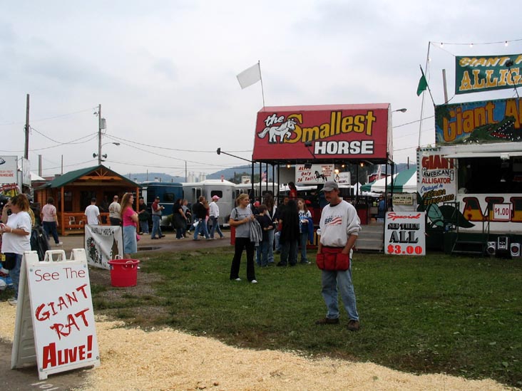 The Living Treasures: Giant Rat, Giant Alligator, Giant Snakes, Smallest Horse, Bloomsburg Fair, Bloomsburg, Pennsylvania, September 23, 2006