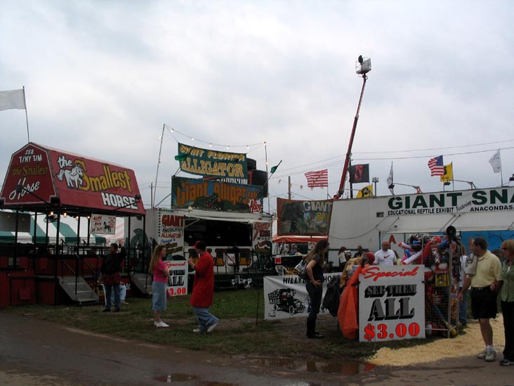 The Living Treasures: Giant Rat, Giant Alligator, Giant Snakes, Smallest Horse, Bloomsburg Fair, Bloomsburg, Pennsylvania, September 23, 2006