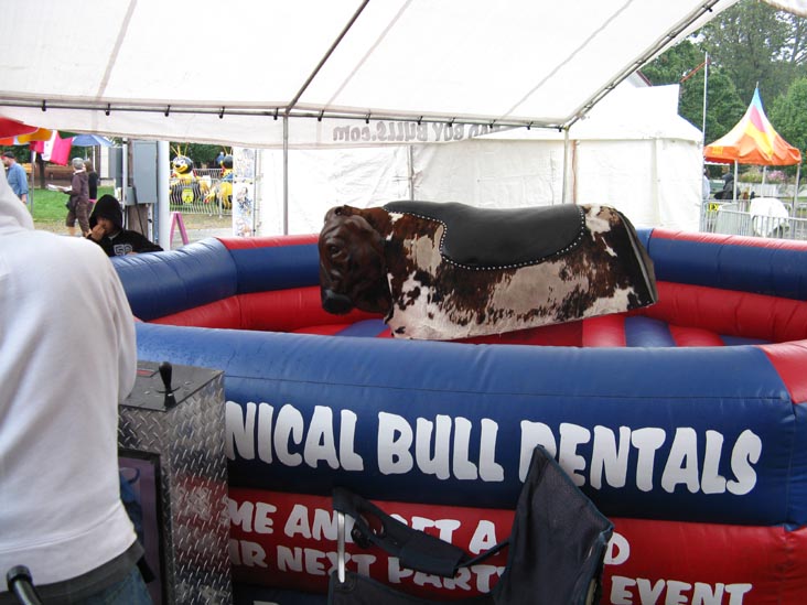 Bad Boy Bulls, Bloomsburg Fair, Bloomsburg, Pennsylvania, September 26, 2009