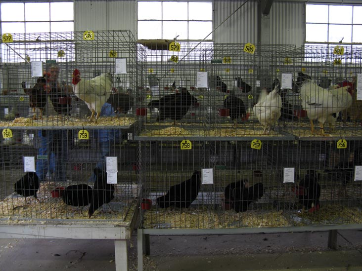 Poultry & Rabbit Exhibit Building, Bloomsburg Fair, Bloomsburg, Pennsylvania, September 26, 2009