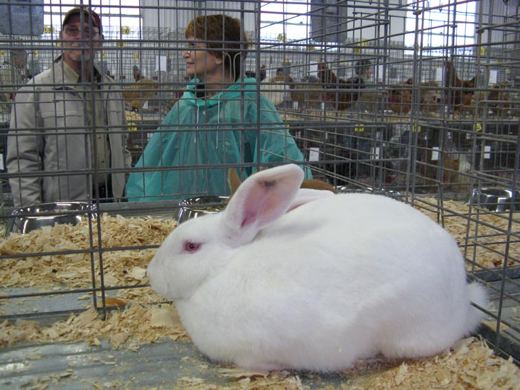 Poultry & Rabbit Exhibit Building, Bloomsburg Fair, Bloomsburg, Pennsylvania, September 26, 2009