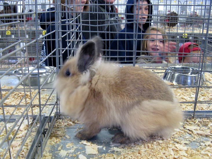 Poultry & Rabbit Exhibit Building, Bloomsburg Fair, Bloomsburg, Pennsylvania, September 26, 2009