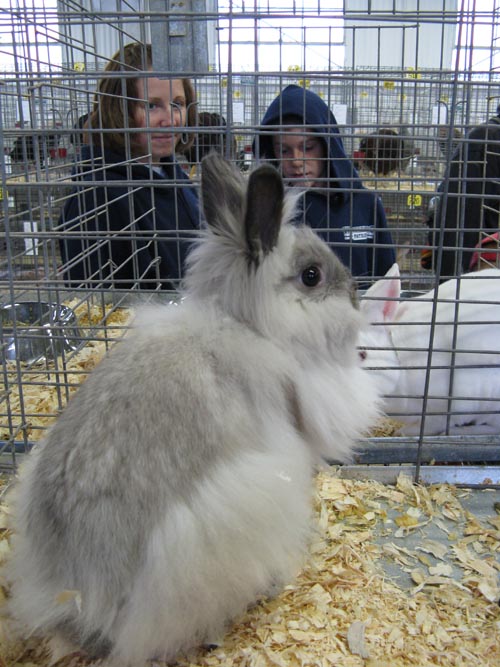 Poultry & Rabbit Exhibit Building, Bloomsburg Fair, Bloomsburg, Pennsylvania, September 26, 2009