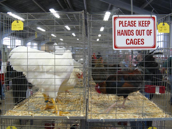 Poultry & Rabbit Exhibit Building, Bloomsburg Fair, Bloomsburg, Pennsylvania, September 26, 2009