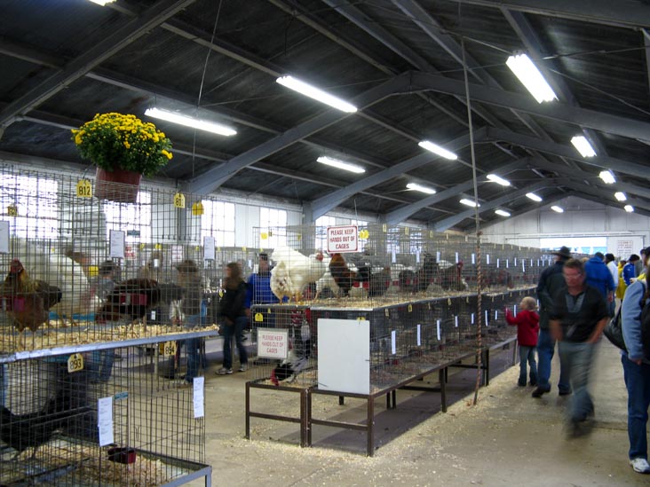 Poultry & Rabbit Exhibit Building, Bloomsburg Fair, Bloomsburg, Pennsylvania, September 26, 2009