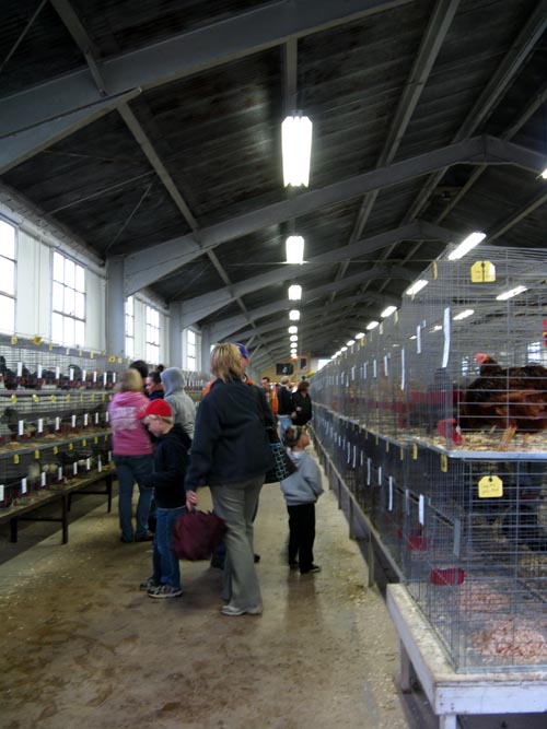 Poultry & Rabbit Exhibit Building, Bloomsburg Fair, Bloomsburg, Pennsylvania, September 26, 2009