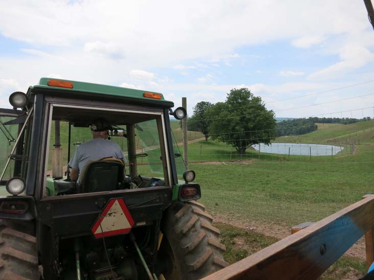 Rolling Hills Red Deer Farm, Catawissa, Pennsylvania, July 18, 2016