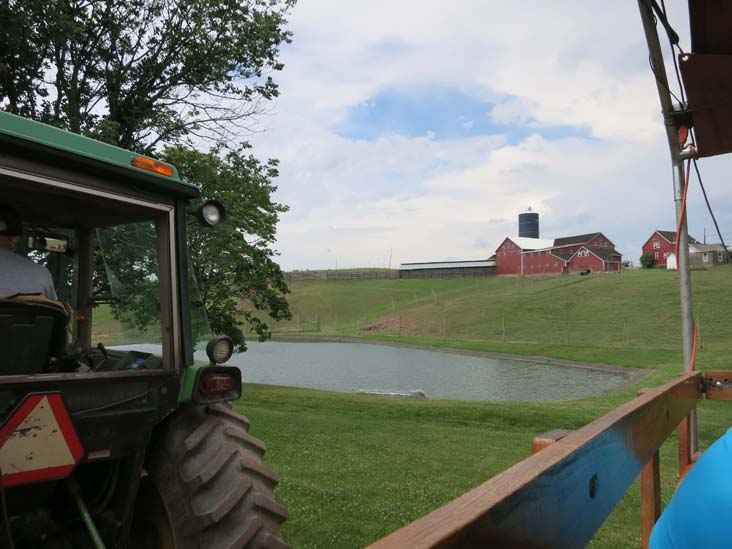 Rolling Hills Red Deer Farm, Catawissa, Pennsylvania, July 18, 2016