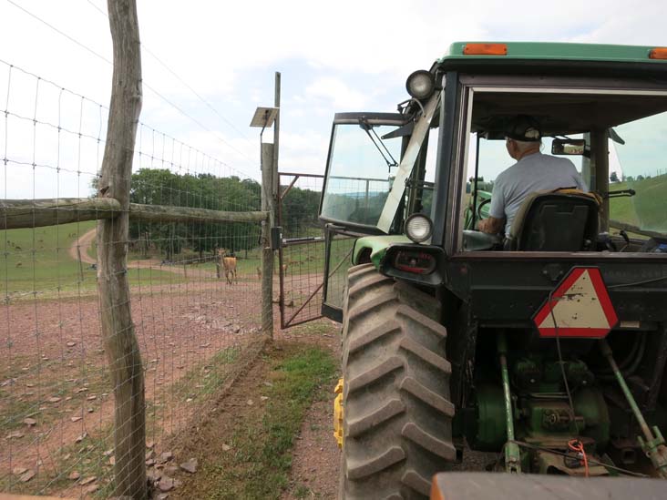 Rolling Hills Red Deer Farm, Catawissa, Pennsylvania, July 18, 2016
