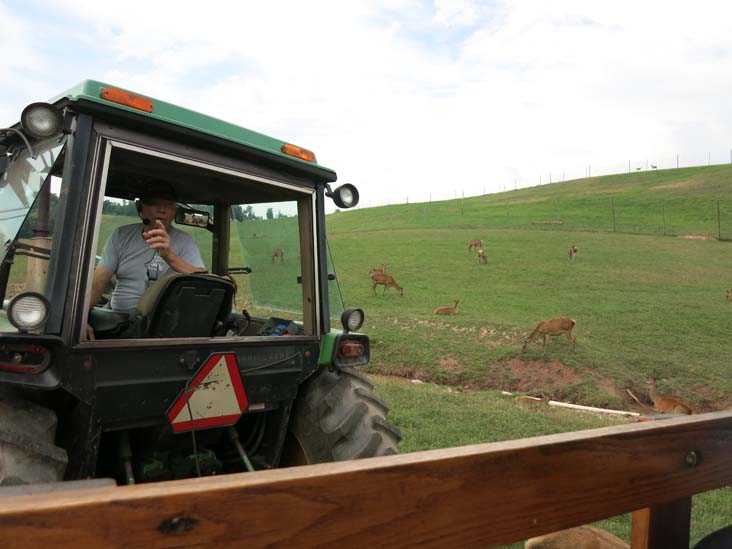 Rolling Hills Red Deer Farm, Catawissa, Pennsylvania, July 18, 2016