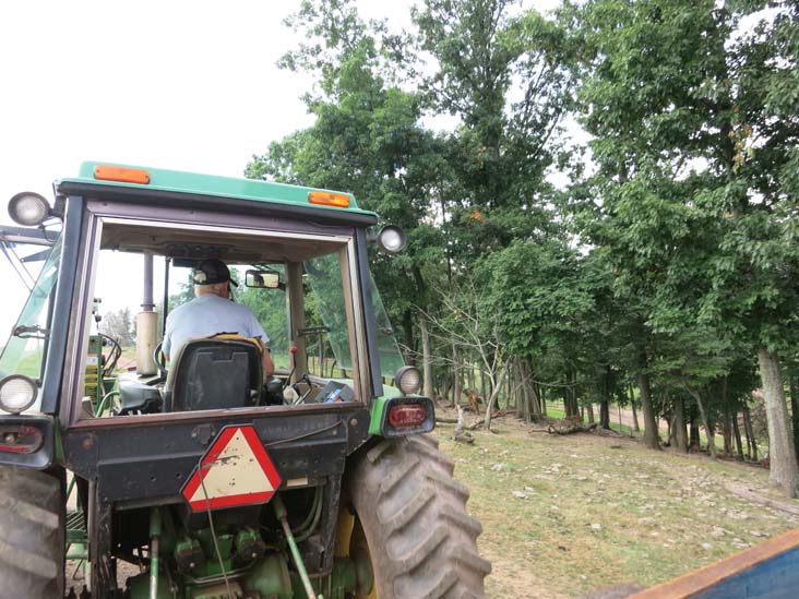 Rolling Hills Red Deer Farm, Catawissa, Pennsylvania, July 18, 2016