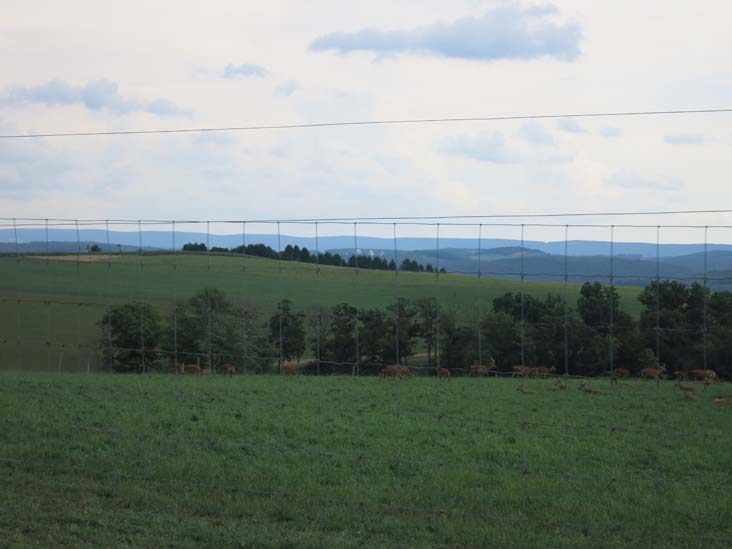 Roaring Creek Station From Rolling Hills Red Deer Farm, Catawissa, Pennsylvania, July 18, 2016
