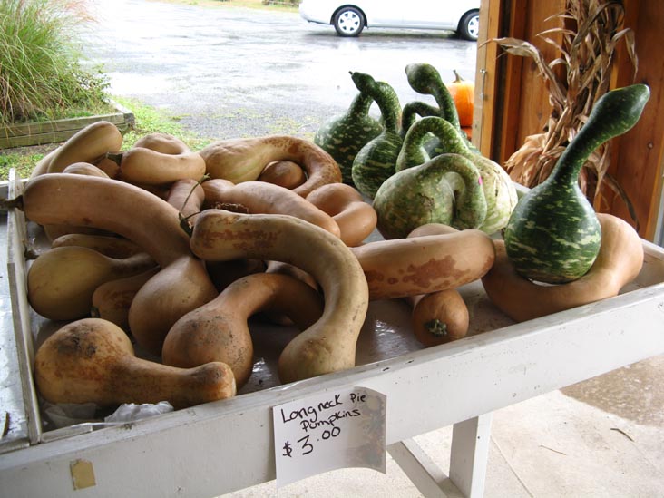 Richard's Scattered Acres Farm Market, Pennsylvania Route 487, Elysburg, Pennsylvania