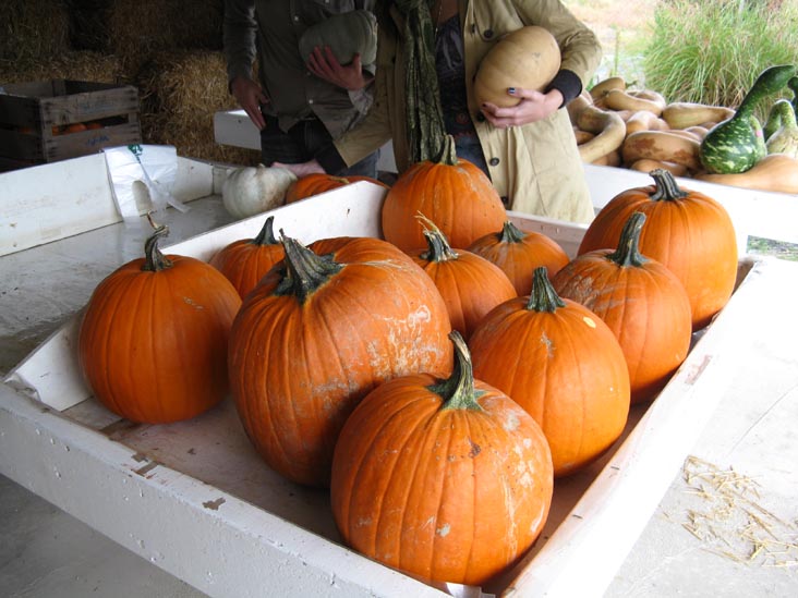Richard's Scattered Acres Farm Market, Pennsylvania Route 487, Elysburg, Pennsylvania